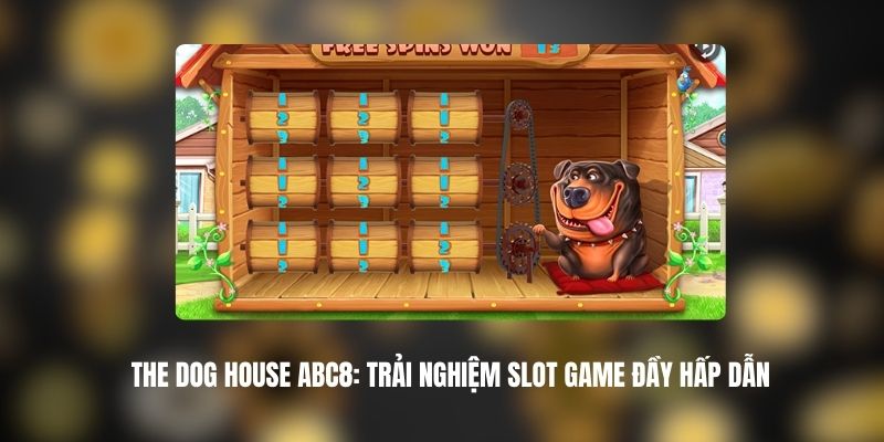 The Dog House ABC8