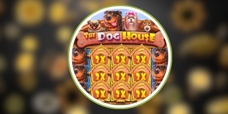 Cách tính thưởng trong The Dog House